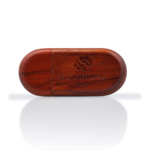 Custom USB Flash Drive Bamboo or Wood USB Stick with logo for Promotion 