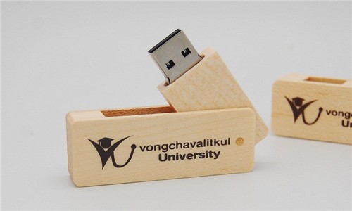 Swivel USB Flash Drive Bamboo or Wood USB Stick Customized logo for Promotion Gift 