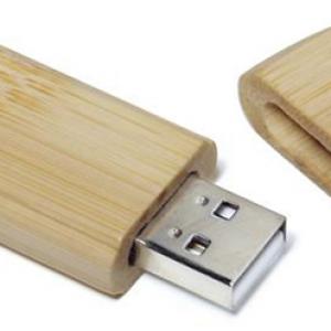 Ecofriendly USB Flash Drive Bamboo USB Stick or Wood USB Custom logo for Promotion Gift