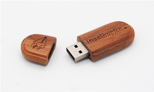 Ecofriendly USB Flash Drive Bamboo USB Stick or Wood USB Custom logo for Promotion Gift