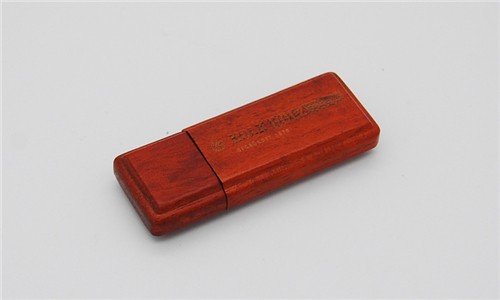 Wooden USB Flash Drive Bamboo USB Stick Custom logo for Promotion Gift 