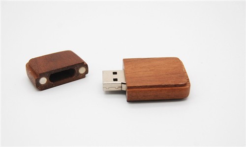 Sustainable USB Memory Disk Bamboo USB Stick or Wooden USB Flash Drive Custom logo for Promotion
