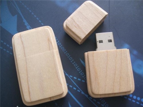 Sustainable USB Memory Disk Bamboo USB Stick or Wooden USB Flash Drive Custom logo for Promotion