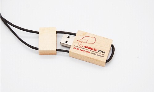 Lanyard USB Flash Drive Bamboo USB or Wooden USB Stick Custom logo for Cooperated Gifts