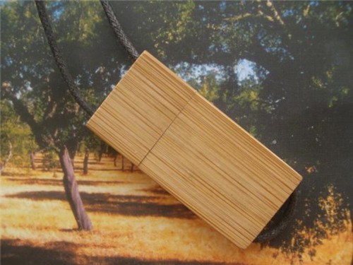 Lanyard USB Flash Drive Bamboo USB or Wooden USB Stick Custom logo for Cooperated Gifts