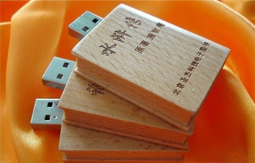 Custom Logo Printed or Engraved Wood USB Pen Drive Bamboo USB Stick for Promotion