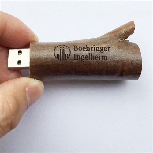 Special USB Flash Drive Customized Logo Printed or Engraved Wood USB Pen Drive Bamboo USB Stick for Promotion