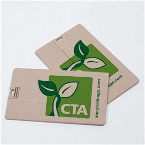 Sustainable USB Card Flash Drive Ecofriendly USB Memory Card Recycled Wheat Straw Material Customized logo for Promotion