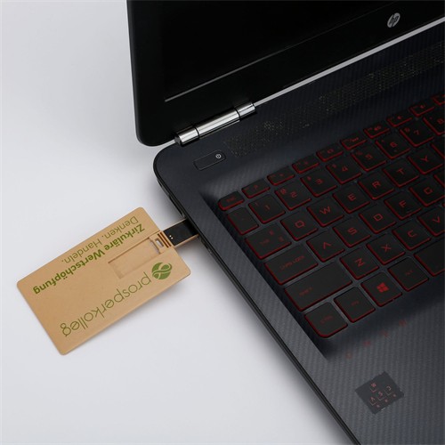 Sustainable USB Card Flash Drive Ecofriendly USB Memory Card Recycled Wheat Straw Material Customized logo for Promotion